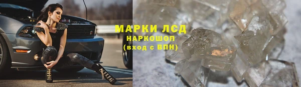 трава Аркадак