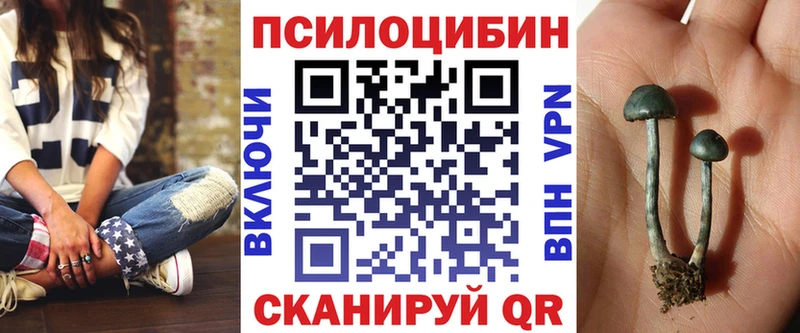 Псилоцибиновые грибы Cubensis Инта